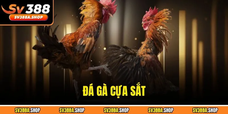 Đá Gà Cựa Sắt – Thế Giới Giải Trí Đỉnh Cao Hấp Dẫn